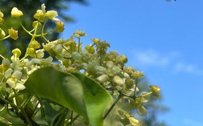 Największe zaufanie